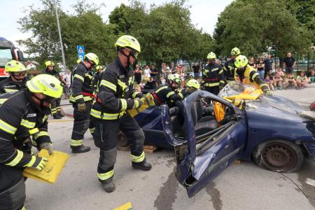 DAN ZAŠČITE IN REŠEVANJA 33 FOTO LJUBO VUKELIČ